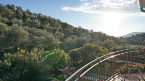 Oasi Verde 5